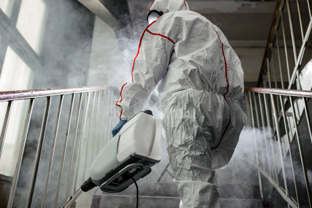 Best Mold Remediation for Healthcare Facilities  in South Tucson, AZ